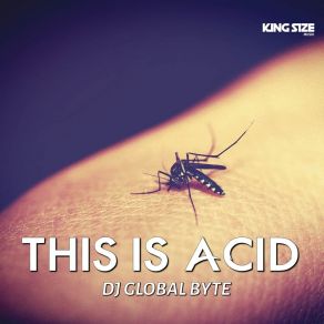 Download track This Is Acid (King Size Musik) DJ Global Byte