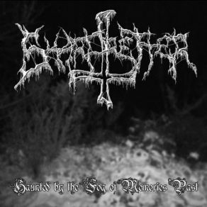 Download track Haunted By The Fog Of Memories Past Skarpretter