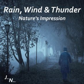 Download track Birds At Dawn With Cows And Cars - Thunderstorm And Rain John Nature