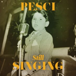 Download track They Say That Falling In Love Is Wonderful Joe Pesci