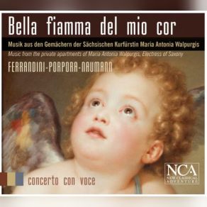 Download track Giovanni Battista Ferrandini: In Questo Core - Aria: In Questo Core Você, Jan Katzschke, Barbara Christina Steude, Concerto