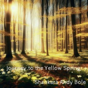 Download track Ending Path Shankara Andy Bole