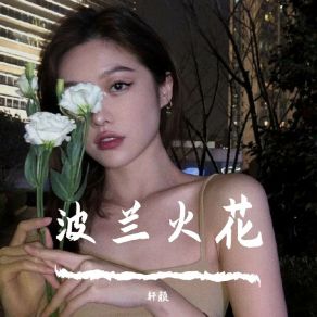 Download track 波兰火花（Remix） 轩颜