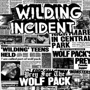 Download track Stop & Frisk The Wilding Incident