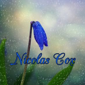 Download track Forgive You Nicolas Cox