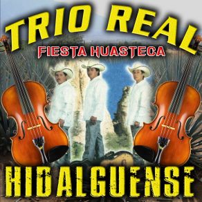 Download track Los Vicios Trio Real Hidalguense