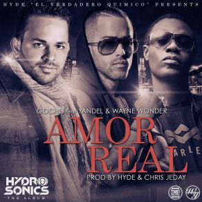 Download track Amor Real Gocho