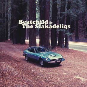 Download track Your Believer (Say Goodbye) The Slakadeliqs, Beatchild