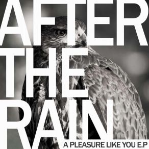 Download track A Pleasure Like You (Remix) After The RainTechni-Ka