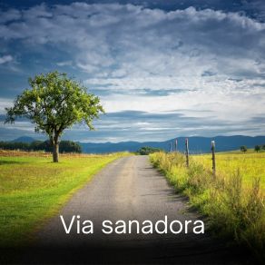 Download track Vía Sanadora Camino Terapéutico