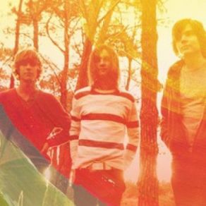 Download track Forty One Mosquitoes Flying In Formation Tame Impala