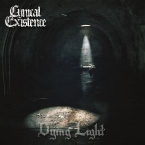 Download track We Will Burn Cynical Existence