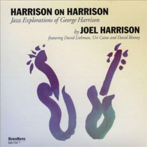 Download track My Sweet Lord Joel Harrison