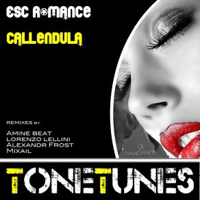 Download track ESC Romance (Alexander Frost Remix) Callendula