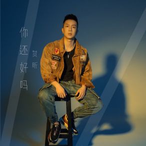 Download track 你还好吗 (伴奏) 贺昕