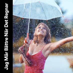 Download track Rain Opulent 24H Rain Sounds