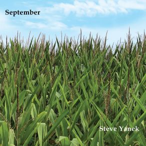 Download track Summer Days Steve Yanek