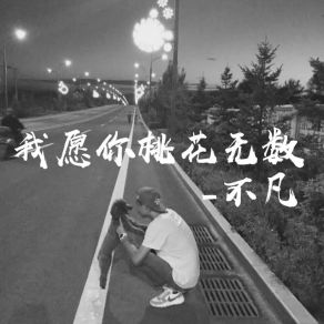 Download track 我愿你桃花无数 (伴奏) 不凡