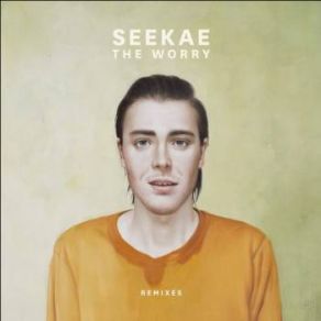 Download track The Worry (András Dub) Seekae