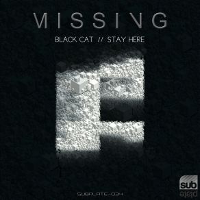 Download track Black Cat (Original Mix) Missing