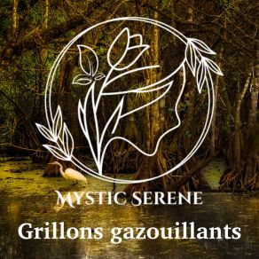 Download track Route De Nuit Mystic Serene