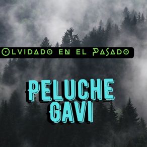 Download track Polo Norte PELUCHE GAVI