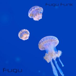 Download track Groove Of Daylight Fugu