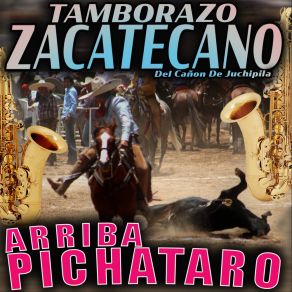 Download track El Olotito Tamborazo Zacatecano Del Canon De Juchipila