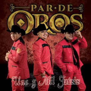 Download track Una Y Mil Fantasias Par De Oros