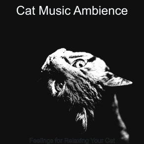 Download track Dashing Moods For Kittens Cat Music Ambience