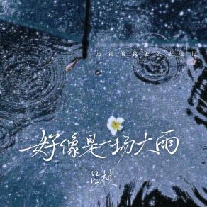 Download track 好像是一场大雨 (迟钝的我怎么去忘记) (和声伴奏版) 吕桢