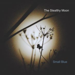 Download track The Stealthy Moon Martin Pyne