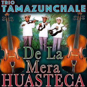 Download track EL CIELITO LINDO Trío Tamazunchale