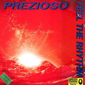 Download track Feel The Rhythm (Bird Progressive Mix) Prezioso