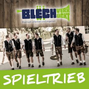 Download track Der Berg (G) Ruft BLECHVERRÜCKT