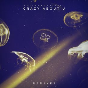 Download track Crazy About U (Jone Remix) DraxtellJone