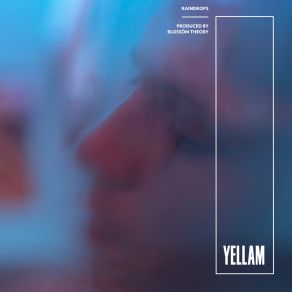 Download track Flawless Roy Vision (Remix / Bonus Track) Yellam