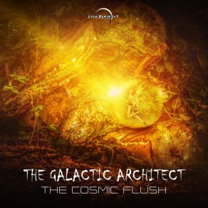 Download track Raising Vibrations The Galactic Architect