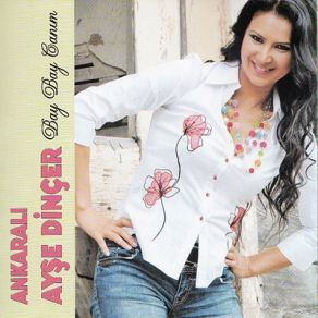 Download track Tımbırleydi Ankaralı Ayşe Dinçer