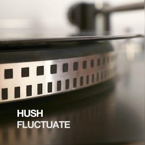 Download track Fluctuate (Allegiance Remix) The Hush, Hush Hush