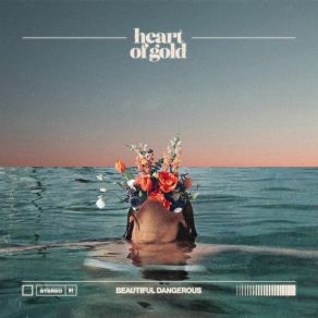 Download track Bright Lights Heart Of Gold