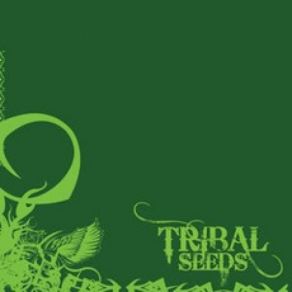 Download track Dolls Dancing Tribal Seeds