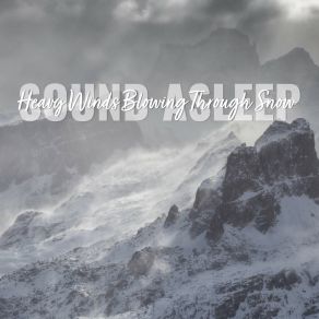 Download track Heavy Winds Blowing Through Snow, Pt. 1 Elijah Wagner