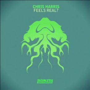 Download track Feels Real? (Original Mix) Chris Harris