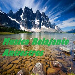 Download track Sonido De La Naturaleza Musica Para Pensar