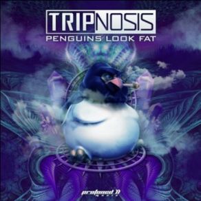 Download track Penguins Look Fat Tripnosis