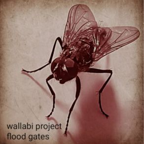 Download track Tides Wallabi Project