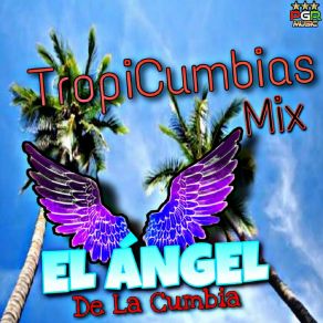 Download track Confieso Que Te Amo El Angel De La Cumbia