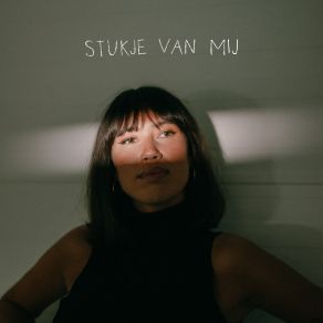 Download track Stukje Van Mij Meau