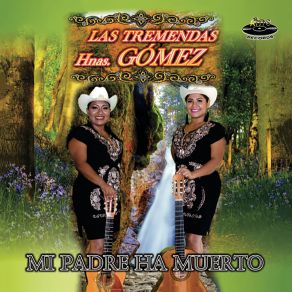 Download track Virgen De Juquila Las Tremendas Hnas. Gomez